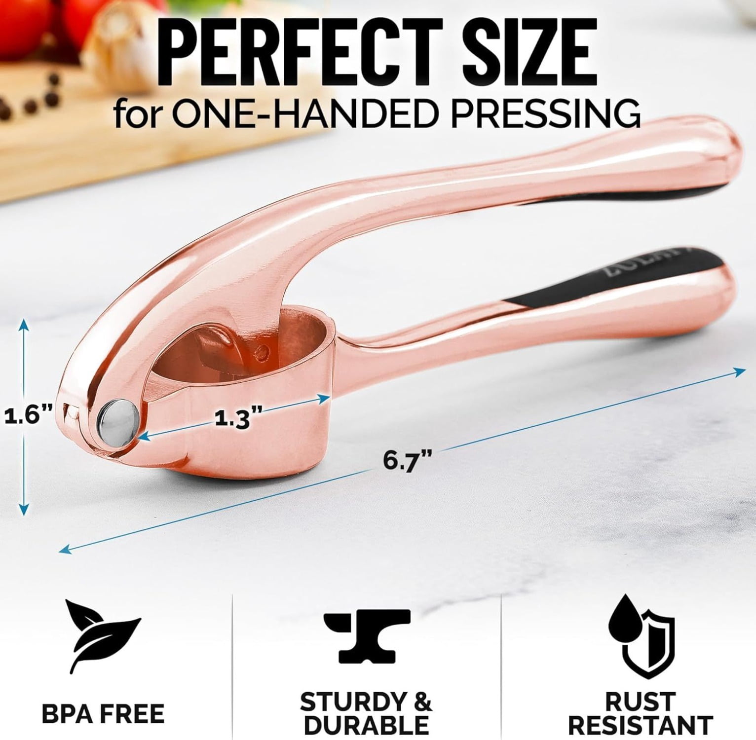 Premium Garlic Press Set Rust Proof Stainless Steel Garlic Mincer with Soft Handle Silicone Peeler and Cleaning Brush for Kitchen