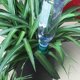 thumbnail image 5 of 8 Uds. Regadera de plantas de vacaciones, picos de cono de autorriego de cerámica, sistema automático de estacas de riego por goteo y flores, 5 of 5