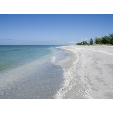 Beach Covered in Shells, Captiva Island, Gulf Coast, Florida, United States of America Print Wall Art By Robert (Best Shelling Beaches In Florida)