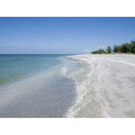Beach Covered in Shells, Captiva Island, Gulf Coast, Florida, United States of America Print Wall Art By Robert
