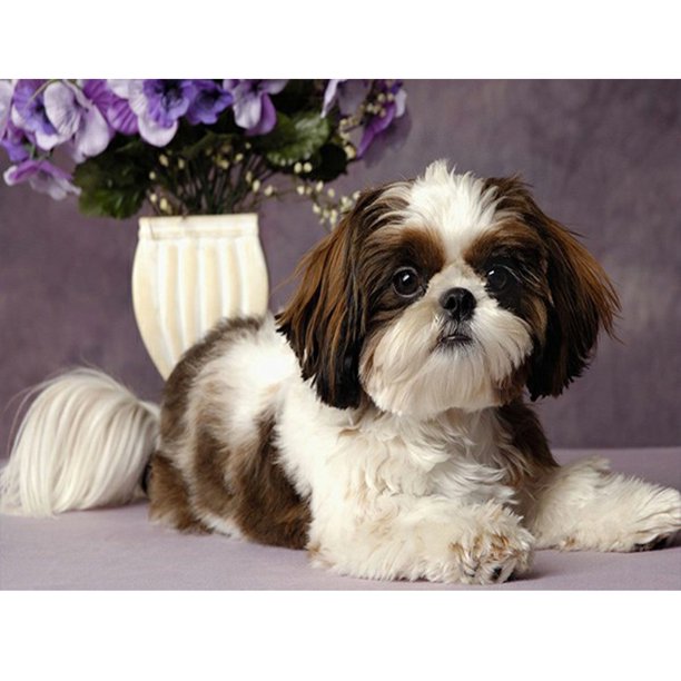 Cachorro de pintura de diamantes, taladro redondo completo, imagen de diamantes de imitación, Kit de dibujo DIY Hugtrwg Para estrenar