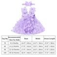 thumbnail image 2 of FYMNSI Baby Girls Layered Tulle Romper Dress Toddler Purple Tutu Princess Dresses with Butterfly Headband Birthday Outfits 0-6 Months, 2 of 5