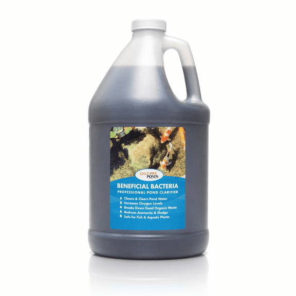 Half Off Ponds Beneficial Bacteria, 1 Gallon Bottle Pond Treatment