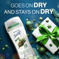thumbnail image 6 of Secret Fresh Invisible Solid Antiperspirant and Deodorant For Women, Fireside Fir, 2.6 oz, 6 of 11