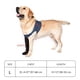 thumbnail image 5 of Calcetas para Perros COODEO Botas Curativas Protectores de Patas Moradas, 5 of 8