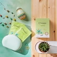 thumbnail image 2 of Mascarilla facial My Beauty Diary con aloe vera, paquete de 8, 2 of 9