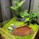 thumbnail image 3 of Cuenco multiusos antideslizante para estanque de tortugas, dispensador de reptiles, dispensador de tortugas, contenedor de agua seguro, fregadero para reptiles, 3 of 7