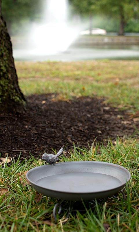 Esschert Design FB401 Series Standing Bird Bath, 8.5 x 8.5 x 4.6 inches, Grey