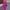 Pink, variant on Women's Summer Fashion Long Overalls, Casual Loose Overalls, Loose Jumpsuit with Pockets, Summer and Autumn Comfortable Wear