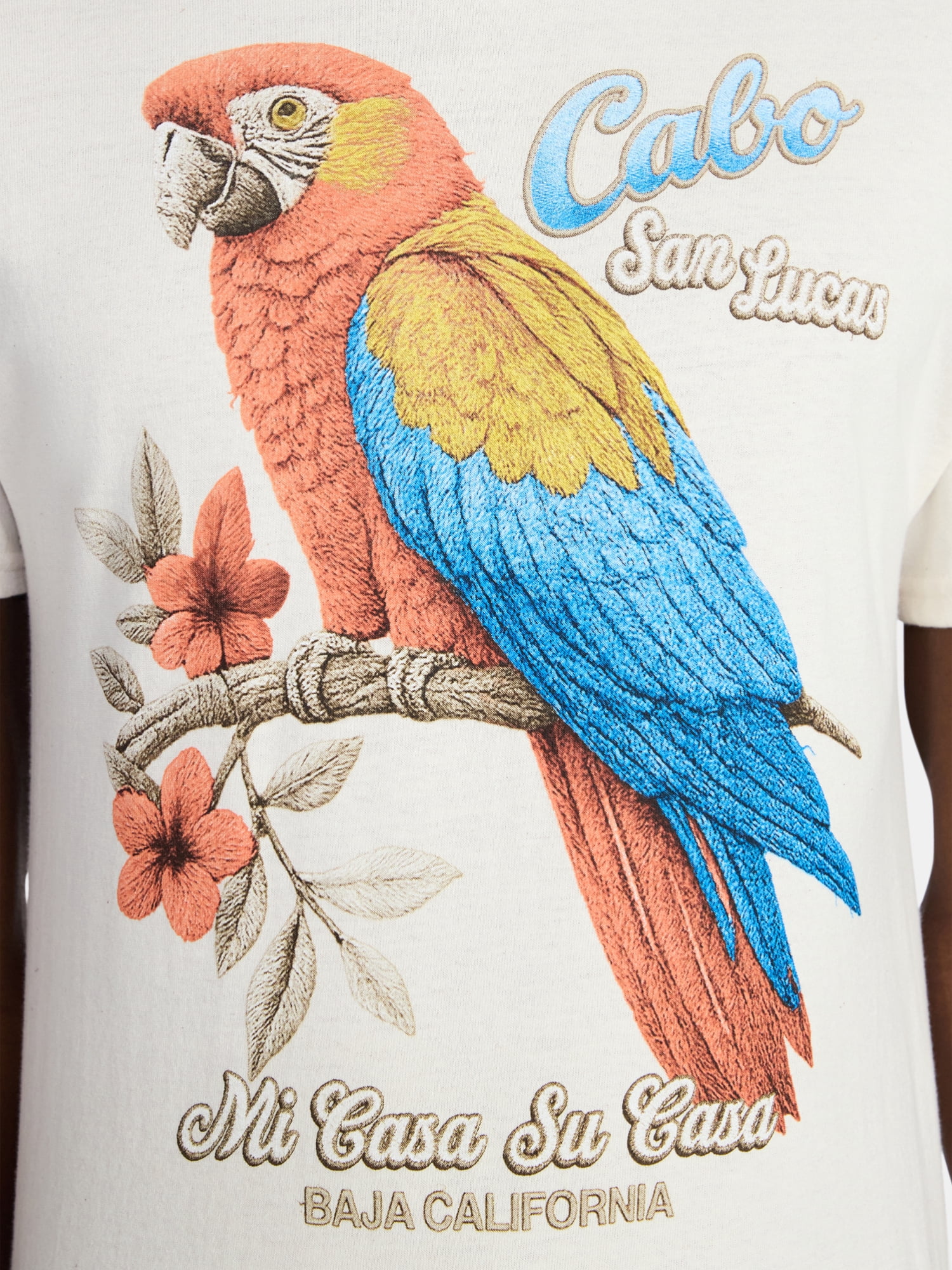 Humor Men's and Big Men's Cabo San Lucas Parrot Cotton Graphic Tee with Short Sleeves, Size S-3XL