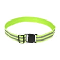 thumbnail image 2 of Cinturón de seguridad reflectante ajustable con luz reflectante para perros que corren de noche. Verde, 2 of 8