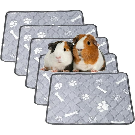 Guinea Pig Beds, Pillows and Nesting Material in the Cavia Webshop! | DRD Knaagdierwinkel® Rodentshop