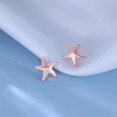 thumbnail image 3 of Solid 925 Sterling Silver Starfish Stud Earrings for Women Teens Beach Stud Earrings Sea Fish Earrings, 3 of 11