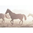 thumbnail image 2 of Highsmith, Carol 24x17 Black Modern Framed Museum Art Print Titled - Roundup of Horses-Riverside-Wyoming, 2 of 4