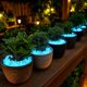 thumbnail image 5 of Pack de 200 de piedras de jardín que brillan en la oscuridad, piedras decorativas luminosas para senderos, paisajismo y decoración de acuarios para acuarios, 5 of 5
