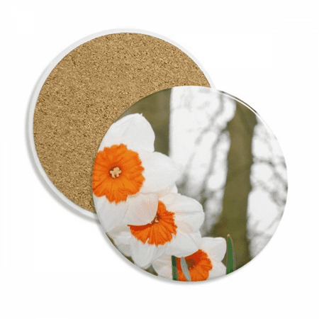 

Red And White Flowers Trees Coaster Cup Mug Tabletop Protection Absorbent Stone