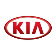 Kia Genuine Filter Assembly Replacement Part, 8oz