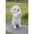 thumbnail image 1 of Chiot Maltais Jouant, 1 of 4
