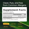 thumbnail image 5 of NatureBell Vitamin B2 (Riboflavin) 400mg - 240 Capsules - Supplement for Energy, Skin & Cellular Health - Non-GMO & Gluten Free - Easily Absorbed - 120 Servings, 5 of 8