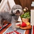 thumbnail image 3 of Hugsmart Cheese Board Dog Plush Toy, 3 of 6