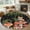 Black, variant on Pastoral Mushroom Fox Area Rug 5x7 FT, Non Slip Bedroom Throw Carpet, Watercolor Eucalyptus Botanical Washable Soft Floor Carpet Non-Shedding Rug for Dining Room Bedside Classroom Desk