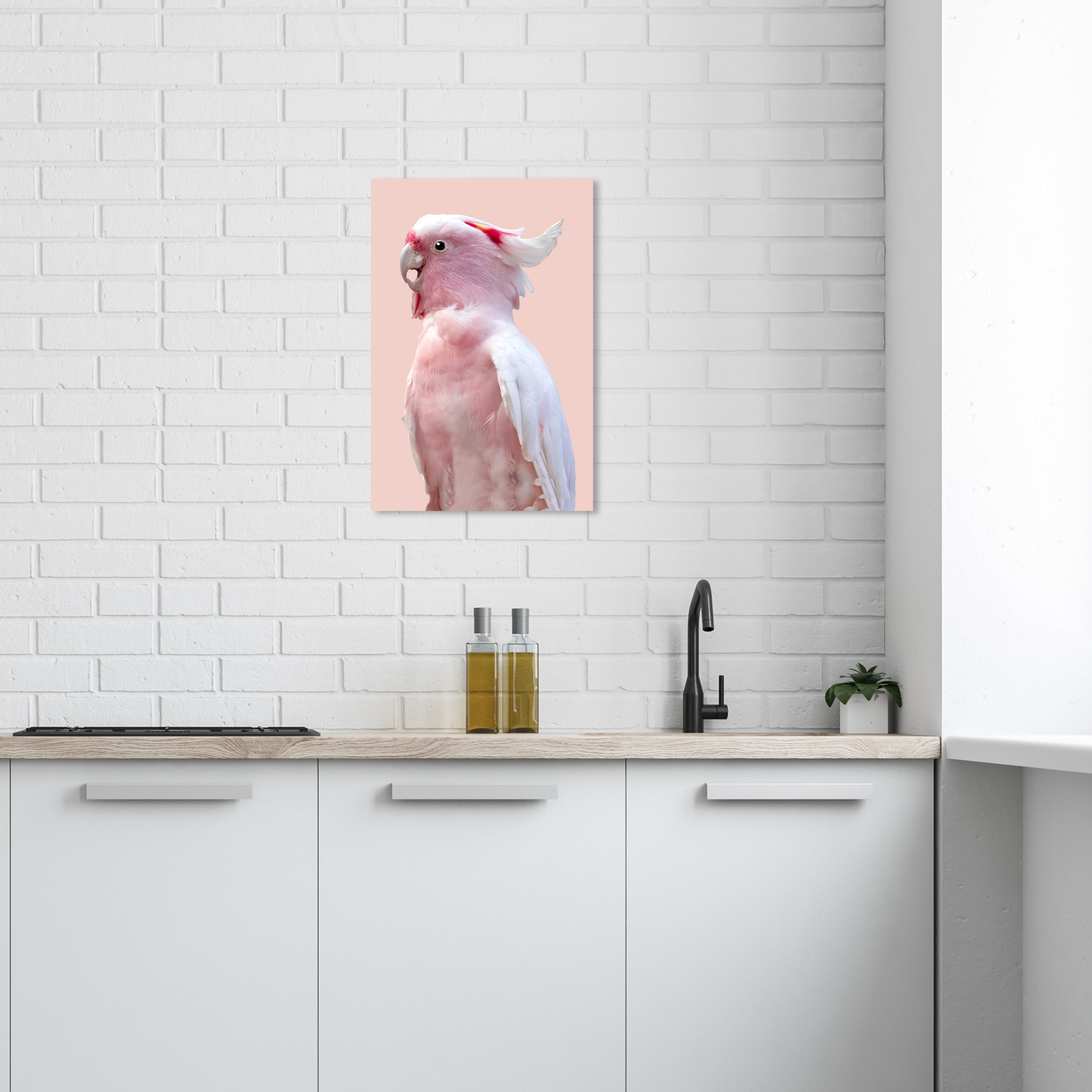 Pink Exotic Feather Coral Animals Wall Art Print Pink 16x24