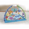 Fisher Price Discover 'n Grow Deluxe Kids Musical Mobile Gym | W9901