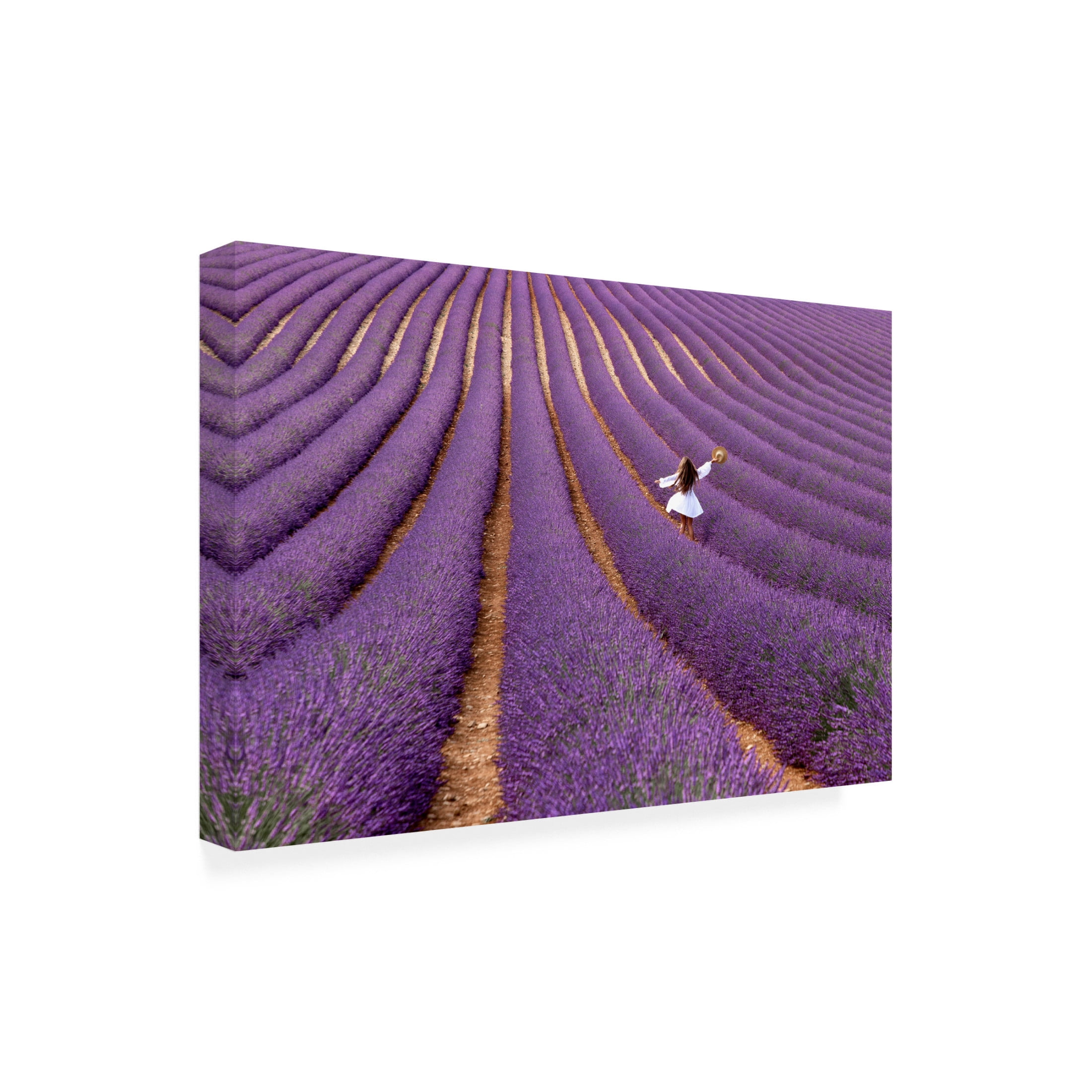 Canvas Wall Art - Massimo Della Latta 'Violet' Wall Art for Living Room, Bedroom, or Office D?cor by Trademark Fine Art - 24 x 16 Inches