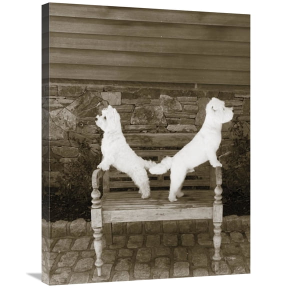 Global Gallery's 'We are Ready' By Jim Dratfield Stretched Canvas Wall Art