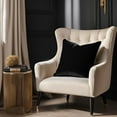 thumbnail image 3 of Plutus Black Midnight Luxe Velvet Luxury Throw Pillow, 3 of 6