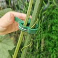 thumbnail image 3 of 80 Clips (30 Grandes + 50 Pequeños) Clips de Corbata para Plantas Verdes - Ayuda para Trepar Plantas Trepadoras en Estacas en Espiral o Clips de Estacas de Bambú para Jardinería y Huertos, 3 of 5