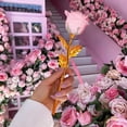 thumbnail image 4 of Hbdhejl Color Gold Rose Flower Purple Window Gift Box New Year'S Day Gift Gold Foil Rose, 4 of 6