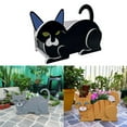 Planting Of Plants Siamese Cat Plant, Cute Decorative Flower Pot for