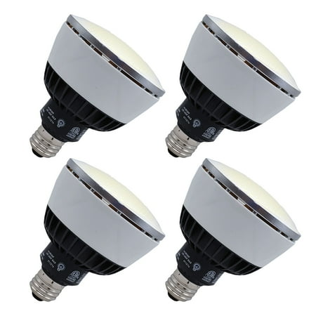 

Viribright 60-Watt Equivalent PAR30 E26 Benchmark II LED Flood Light Bulb 2700K Warm White (4-Pack)