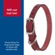 thumbnail image 5 of Collar para perro Coastal Circle T de piel de roble rojo 1.6x41 cm, 5 of 7