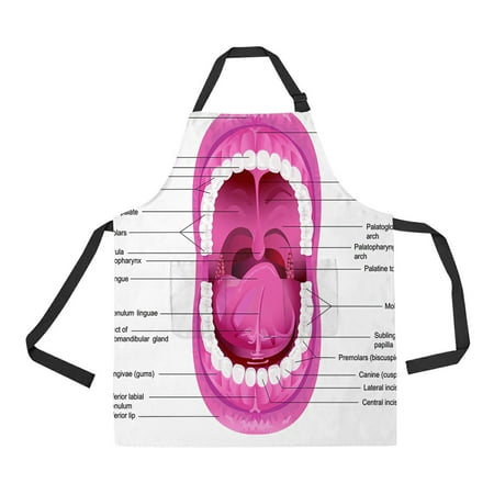 

ABPHQTO Diagram For Anatomy Of Human Mouth Apron Home Kitchen Apron with Pockets