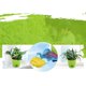 thumbnail image 4 of Elefante en aerosol de agua de 2 uds que juega en el baño de agua de la muñeca de los juguetes de los niños del agua Wmkox8yii shdjk3765, 4 of 8