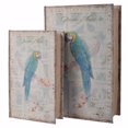 thumbnail image 1 of Benzara BM150813 Parrot Bird Book Boxes, Multicolor - Set of 2, 1 of 1