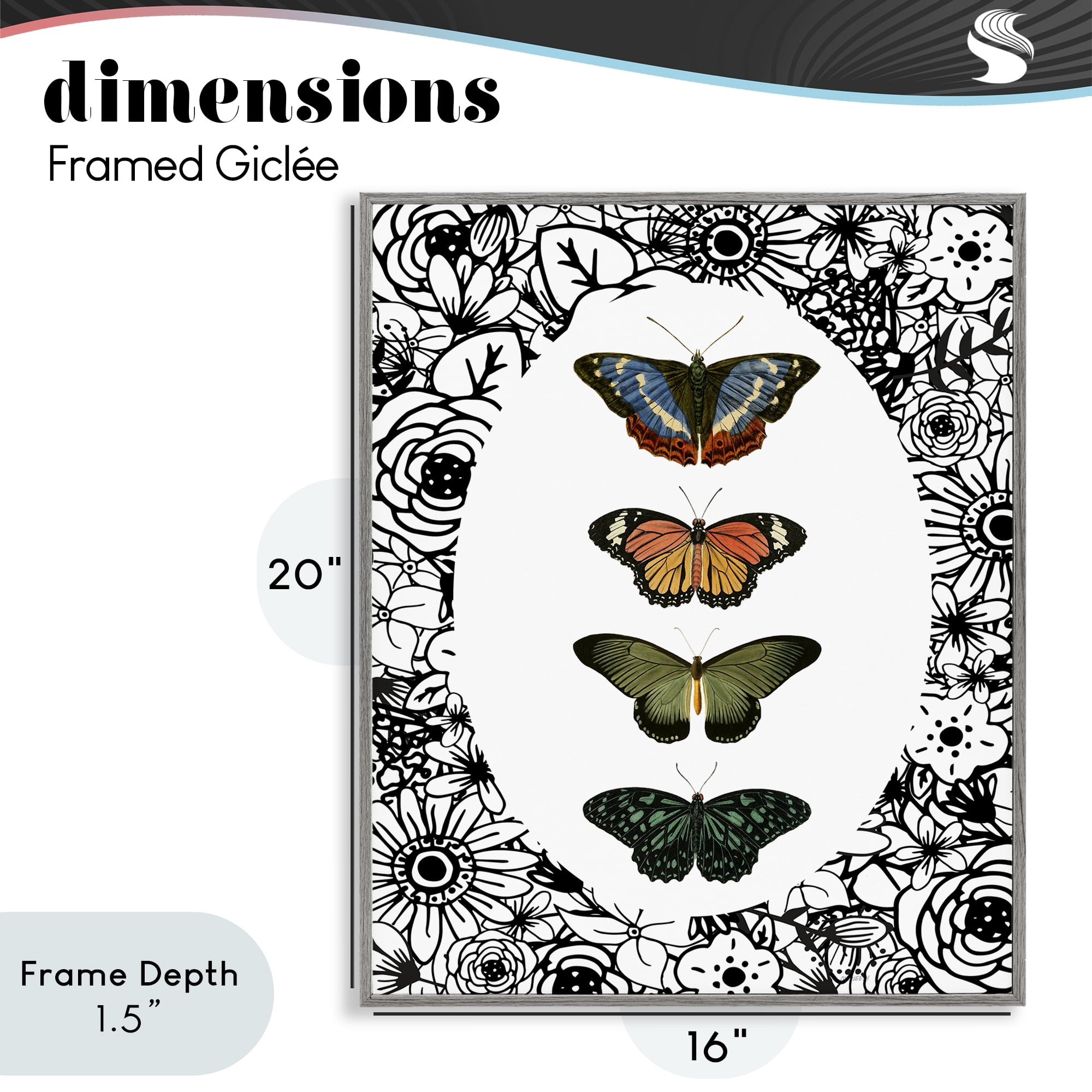 Stupell Industries Floral Border Butterfly Lineup Gray Framed Giclee Art, design by Dan Meneely