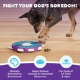 thumbnail image 3 of Outward Hound by Nina Ottosson Dog Twister – Interactive Treat Puzzle Enrichment Toy, Level 3 Advanced, 3 of 9