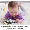 thumbnail image 4 of Juguete sensorial de peluche FISHER-PRICE BABY Rockin' Tummy Time Otter, 4 of 6
