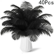 Tutuviw 40 Pcs Natural Black Ostrich Feathers 8-10 Inch Plumes Large Ostrich Feathers Feathers Bulk for Theme Parties Flower Arrangements Decor Seasonal Crafts Decoration Christmas Gift