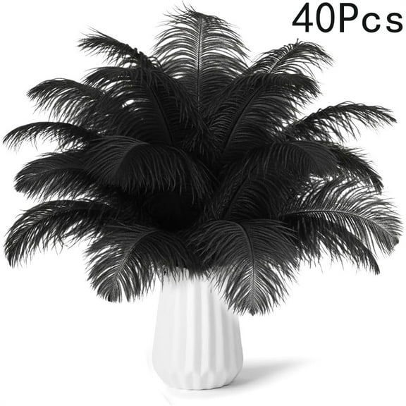 Tutuviw 40 Pcs Natural Black Ostrich Feathers 8-10 Inch Plumes Large Ostrich Feathers Feathers Bulk for Theme Parties Flower Arrangements Decor Seasonal Crafts Decoration Christmas Gift