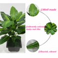 thumbnail image 4 of Plante Artificielle Presque Naturelle, 4 of 6