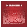 thumbnail image 2 of Purina ONE +Plus Skin & Coat Salmon, Dry Dog Food, 2 of 5