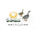 thumbnail image 2 of Geese, Learn the Geese Life Cycle, Very Nice Plastic Figure, Model, Realistic Replica, Educational, Figurine, Animal, Life Like, 4 Stages, 2 1/2" CH04 B231, 2 of 7