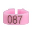 thumbnail image 4 of 100 Unids/bolsa 8MM 001-100 Carta de plástico numerada Pigeon Bird Pierna Bandas Anillos (rosa), 4 of 8