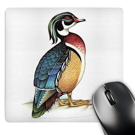 3dRose  Wooden Duck   MousePad price history on PriceWatchPro