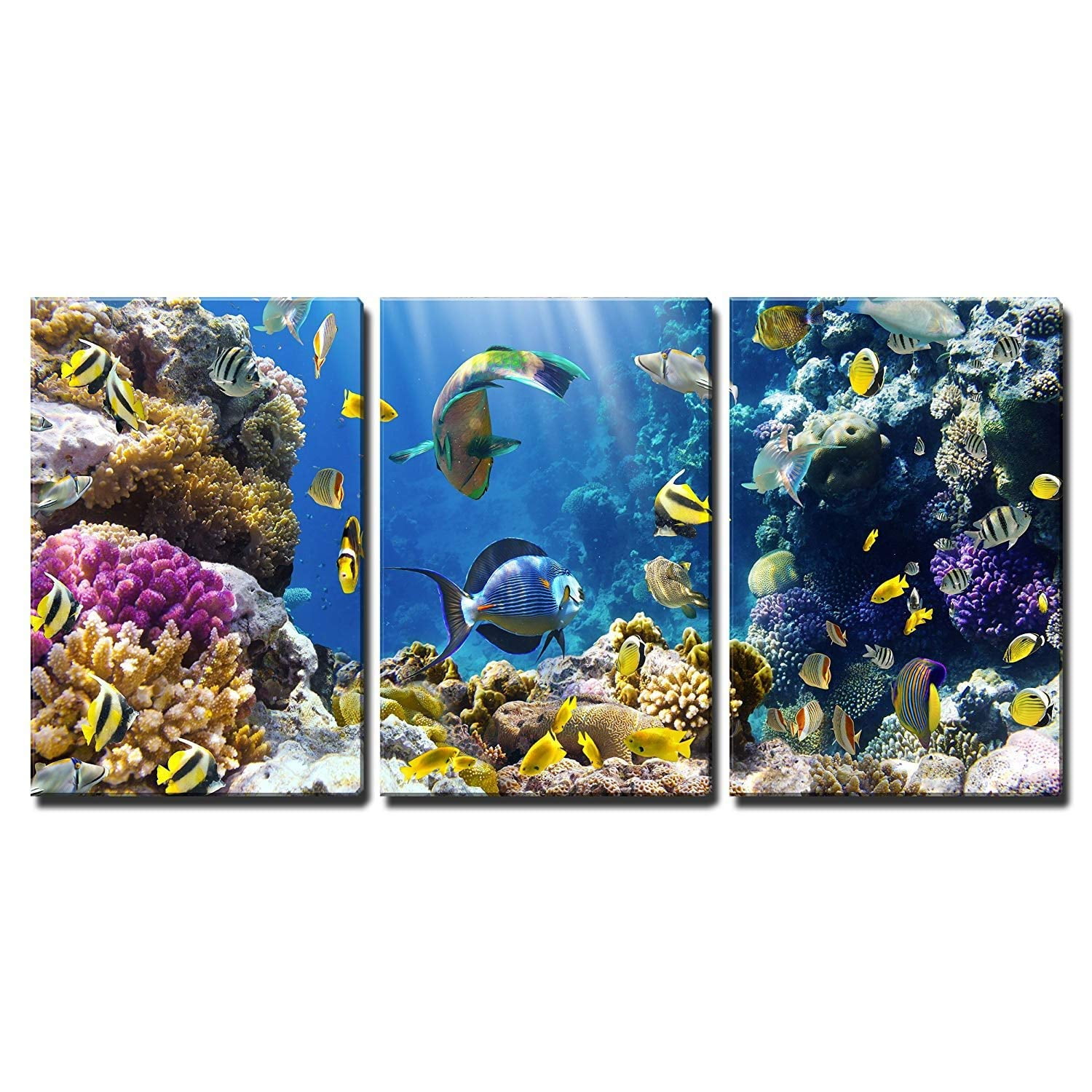 Wall26 3 Piece Canvas Wall Art Photo of a Tropical Fish on a Coral Reef ...