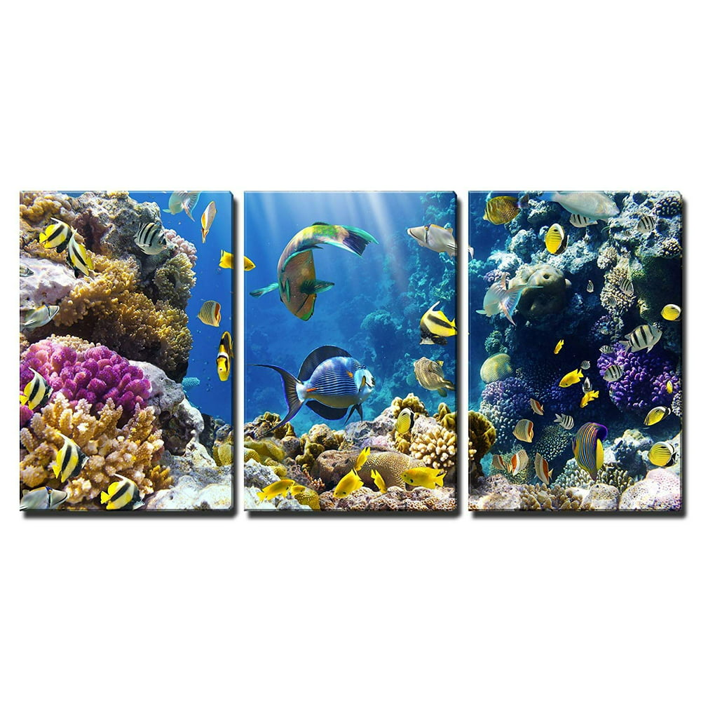 wall26-3 Piece Canvas Wall Art - Photo of a Tropical Fish on a Coral ...